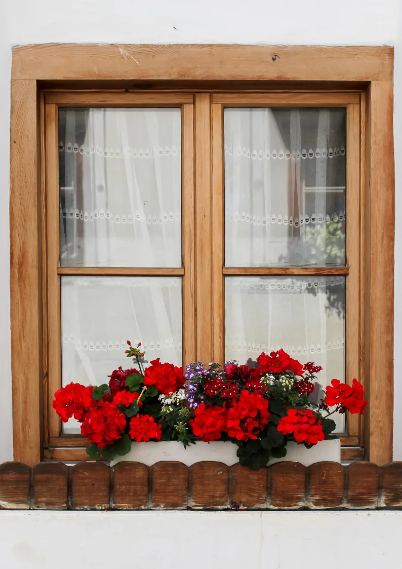 Menuiserie extérieure en bois 